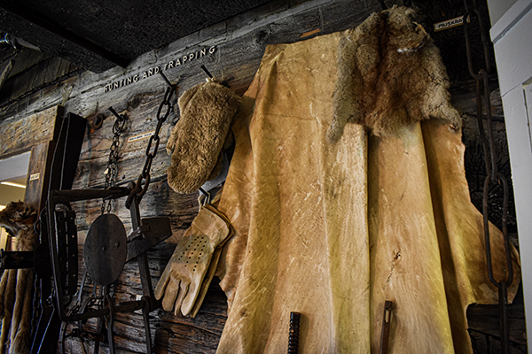 Fur pelt hanging on the wall next to hunting and trapping equipment